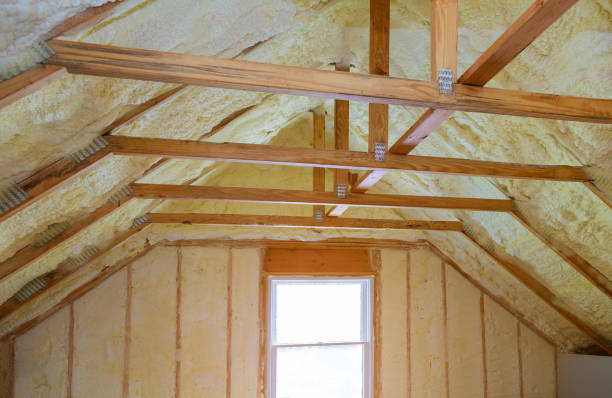 Best Home Insulation Services  in Crete, IL
