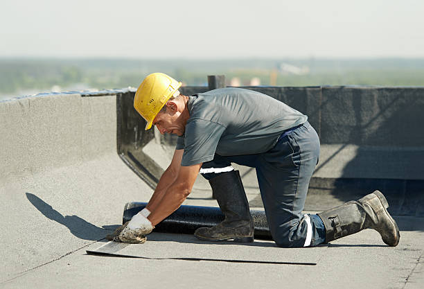 Best Residential Insulation Services  in Crete, IL